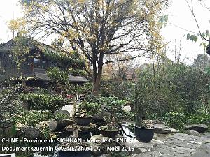 Chendgu 008